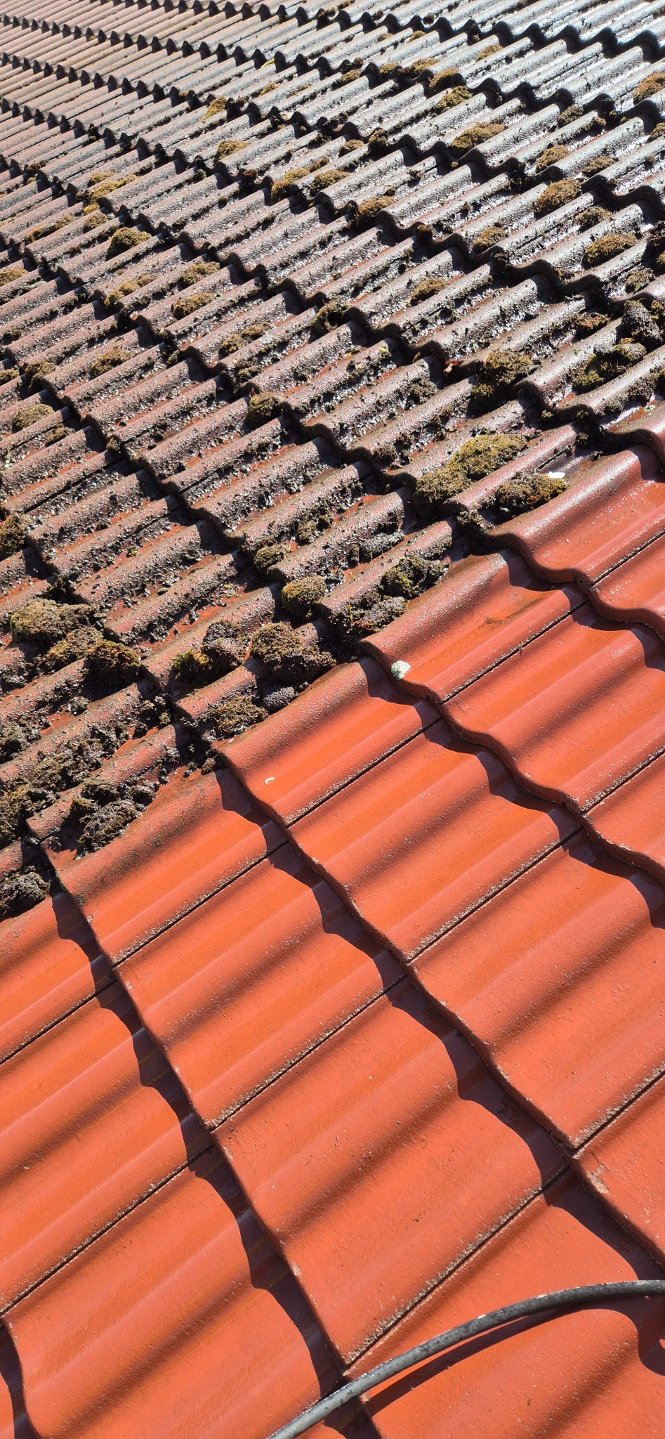 Częściowo wyczyszczony dach z czerwonej dachówki. Połowa dachu pokryta mchem i brudem, druga połowa czysta, ukazująca efekt po czyszczeniu. Widoczny kabel.