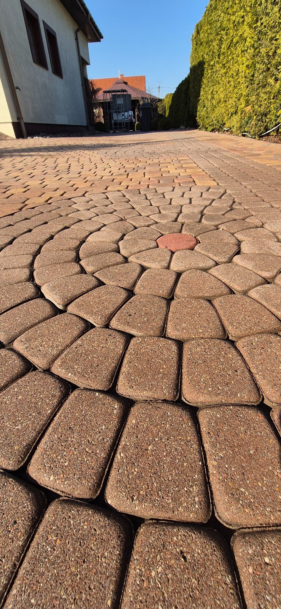 Ułożona kostka brukowa w okrągły wzór z czerwoną kostką w centrum, prowadząca do domu z zielonymi krzewami w tle, w słoneczny dzień.