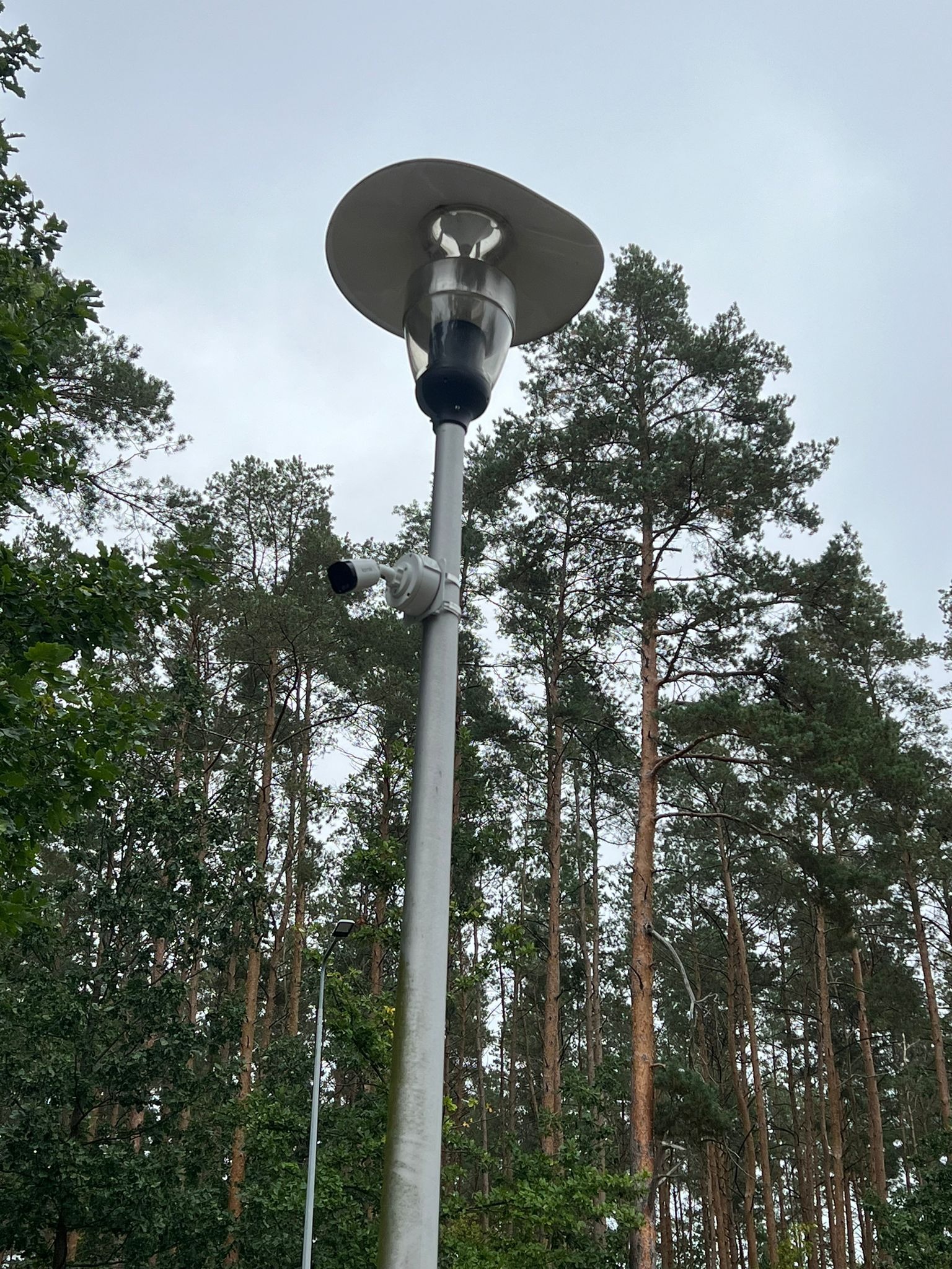 Kamera monitoringu zamontowana na słupie oświetleniowym, otoczona drzewami. Widok z dołu na szary słup z kamerą i lampą, na tle lasu i pochmurnego nieba.