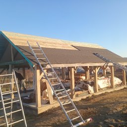 FIL-BUD Filip Labok - Konstrukcja drewniana z częściowo położonym dachem z papy, dwie drabiny opierają się o budowlę, w tle widoczne zabudowania i drzewa, słoneczny dzień.