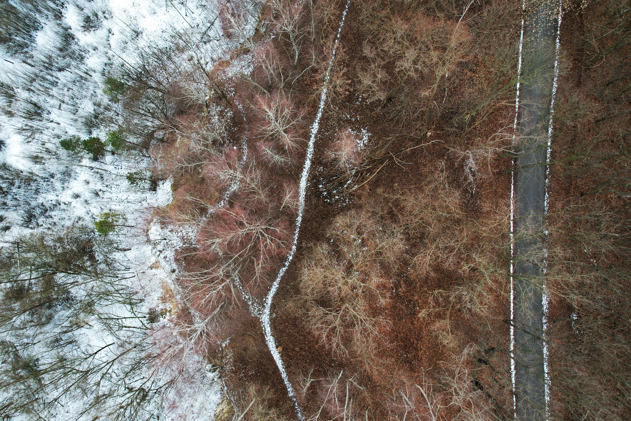 Zimowy krajobraz z lotu ptaka: las mieszany z przewagą drzew liściastych, pokryty częściowo śniegiem, przecinany asfaltową drogą. Ujęcie z drona.
