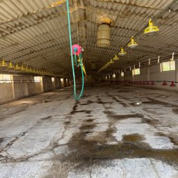 Mycie kostki brukowej Bądkowo 1