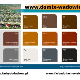 Malowanie dachów Wadowice 1