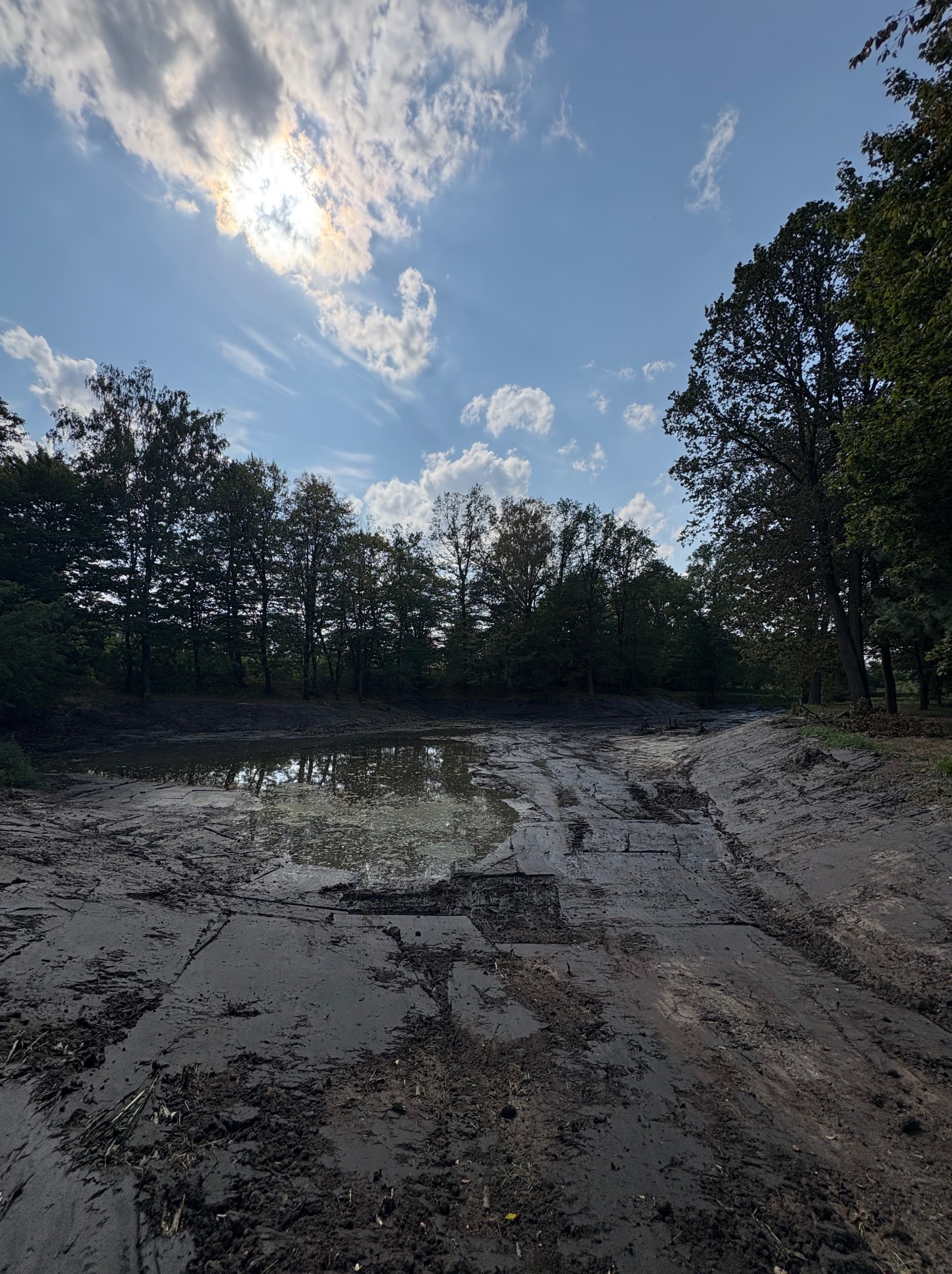 Wykopany staw z wodą, otoczony drzewami, pod błękitnym niebem z chmurami i słońcem. Widoczne ślady opon na ziemi. Ujęcie z dołu, podkreślające głębię wykopu.