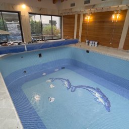 Wykończony basen z mozaiką w odcieniach błękitu, z motywem delfinów. Widoczne narzędzia glazurnicze i drewniany sufit z oknem dachowym.