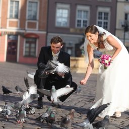 Fotograf ślubny Poznań 1