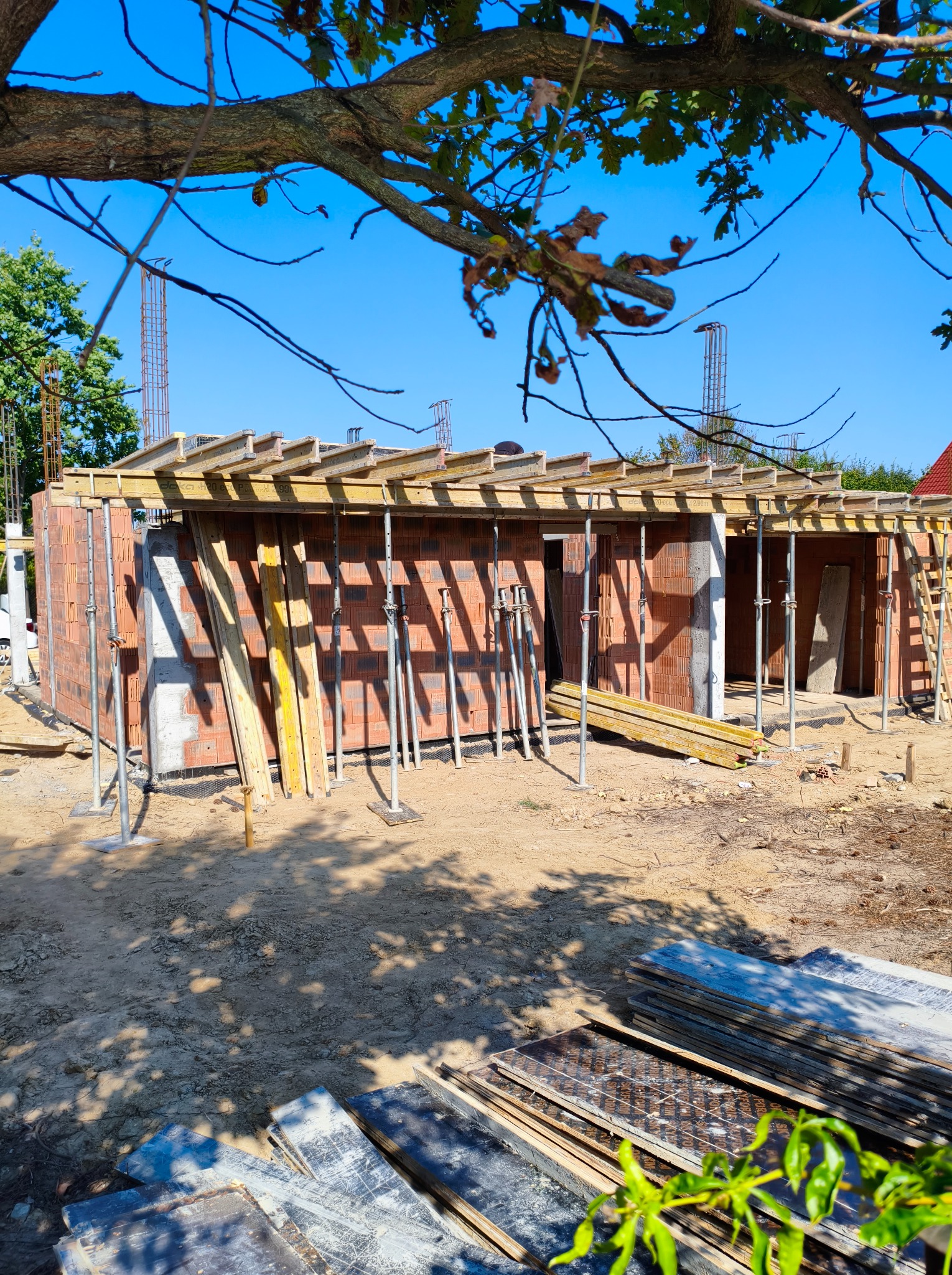 Wznoszenie ścian z czerwonej cegły na budowie domu jednorodzinnego. Widoczne podpory, szalunki i zbrojenia. Ujęcie z dołu, fragment drzewa w kadrze.