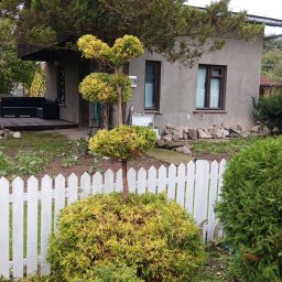 Wycinka drzew Łososina Dolna 1