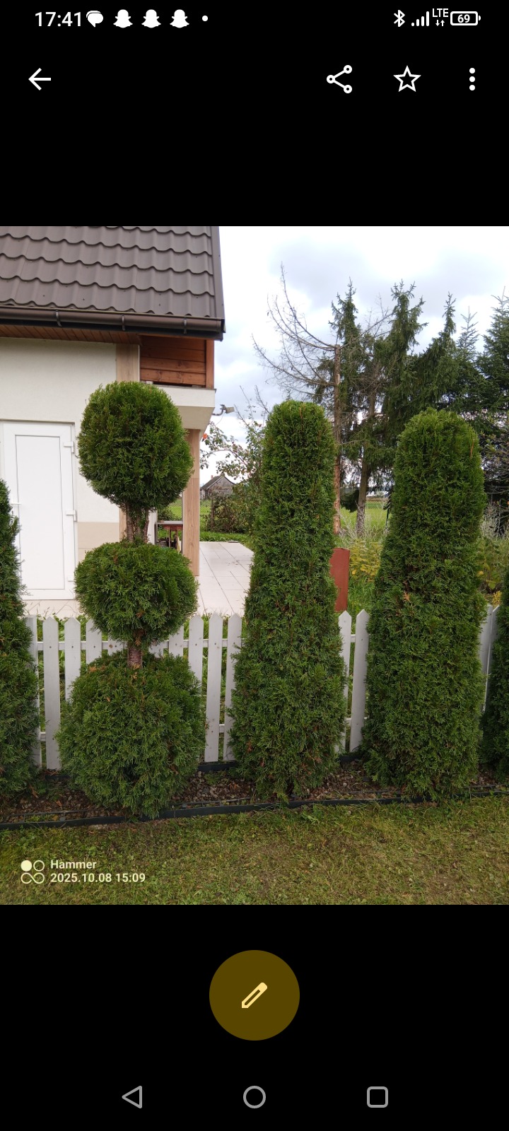 Formowane tuje w ogrodzie, z białą, niską palisadą w tle. Jedna z tui przycięta w kulisty kształt, pozostałe w formie kolumn. Widok na dom z brązowym dachem.