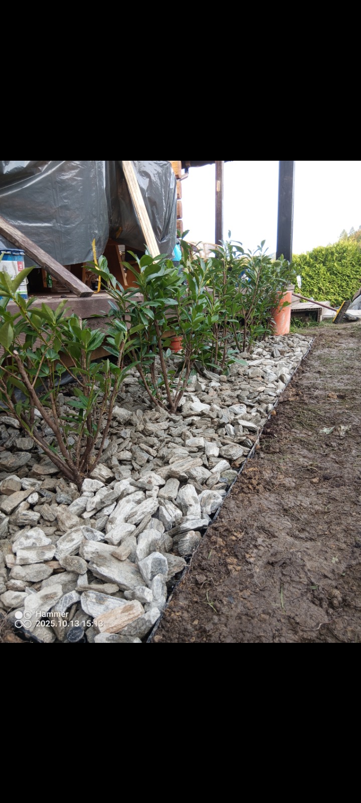 Świeżo posadzone krzewy w doniczkach, otoczone ozdobnymi kamieniami, oddzielone od ziemi czarną obwódką. Widoczny fragment budynku w tle.