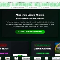 ostatnie zlecenie https://lesnikkliniska.pl/