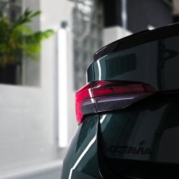 Jadeit Studio Beata Szyszko - Zielony samochód Octavia po detailingu w Gliwicach. Widoczny tylny reflektor i błyszcząca karoseria. W tle roślina doniczkowa i oświetlenie warsztatowe.