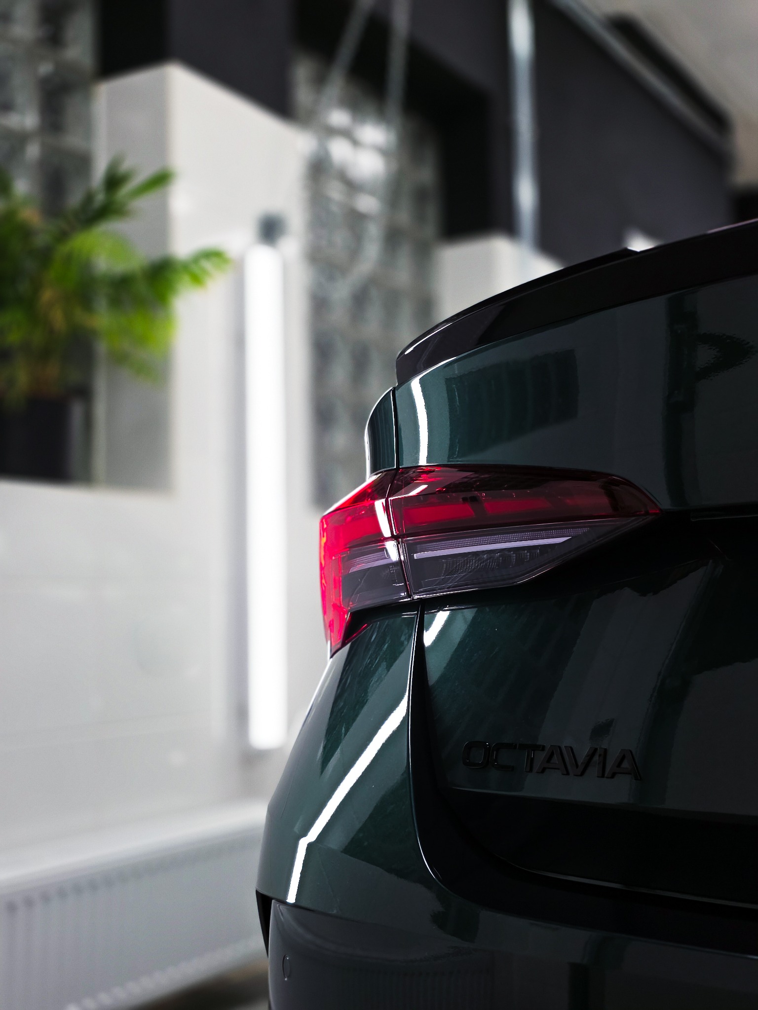 Zielony samochód Octavia po detailingu w Gliwicach. Widoczny tylny reflektor i błyszcząca karoseria. W tle roślina doniczkowa i oświetlenie warsztatowe.
