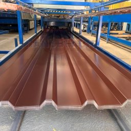 Blacha trapezowa Lubin 1