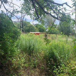 M&W Transport - Zarośnięty teren z wysoką trawą i chwastami, widoczny fragment czerwonego kontenera za metalowym ogrodzeniem. Gałęzie drzew w kadrze. Zaniedbany ogród.