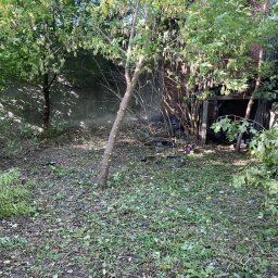 M&W Transport - Teren po wycince drzew i krzewów, z widocznymi narzędziami ogrodniczymi i pniem drzewa. Ściana budynku w tle. Dużo zieleni i gałęzi na ziemi.