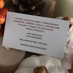 M&W Transport - Wizytówka firmy oferującej wywóz mebli i opróżnianie mieszkań, umieszczona na dekoracyjnym tle z dyni i szyszki. Kontakt: województwo łódzkie, tanio, szybko, solidnie.