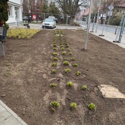 Nawóz ziemi, wyróżnianie terenu, sianie oraz sadzenie