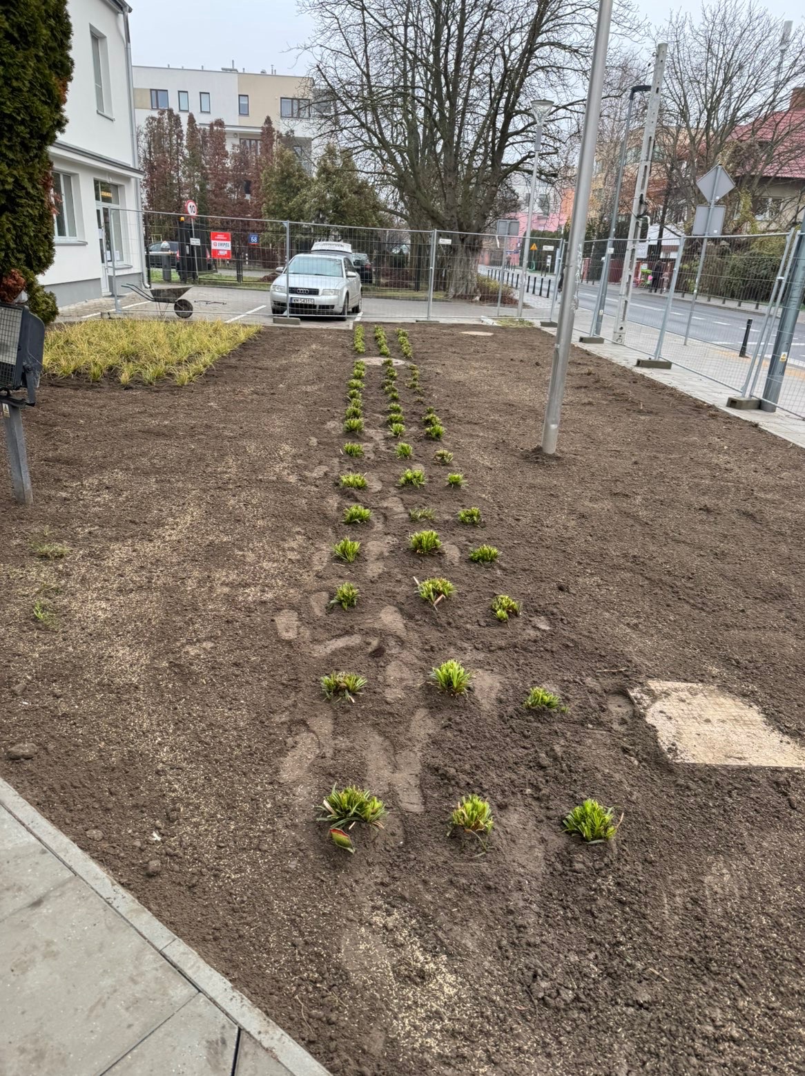 Nawóz ziemi, wyróżnianie terenu, sianie oraz sadzenie