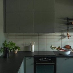 Anna Komorowicz Studio - Stylowa kuchnia w odcieniach szarości i zieleni w Poznaniu. Minimalistyczne szafki, czarny blat, płytki z czerwoną fugą i świeże rośliny tworzą nowoczesny, harmonijny wystrój.