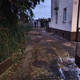 Wycinka drzew Zapolice 4