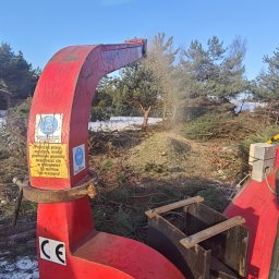 Wycinka drzew Zapolice 3