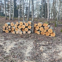 Wycinka drzew Zapolice 2