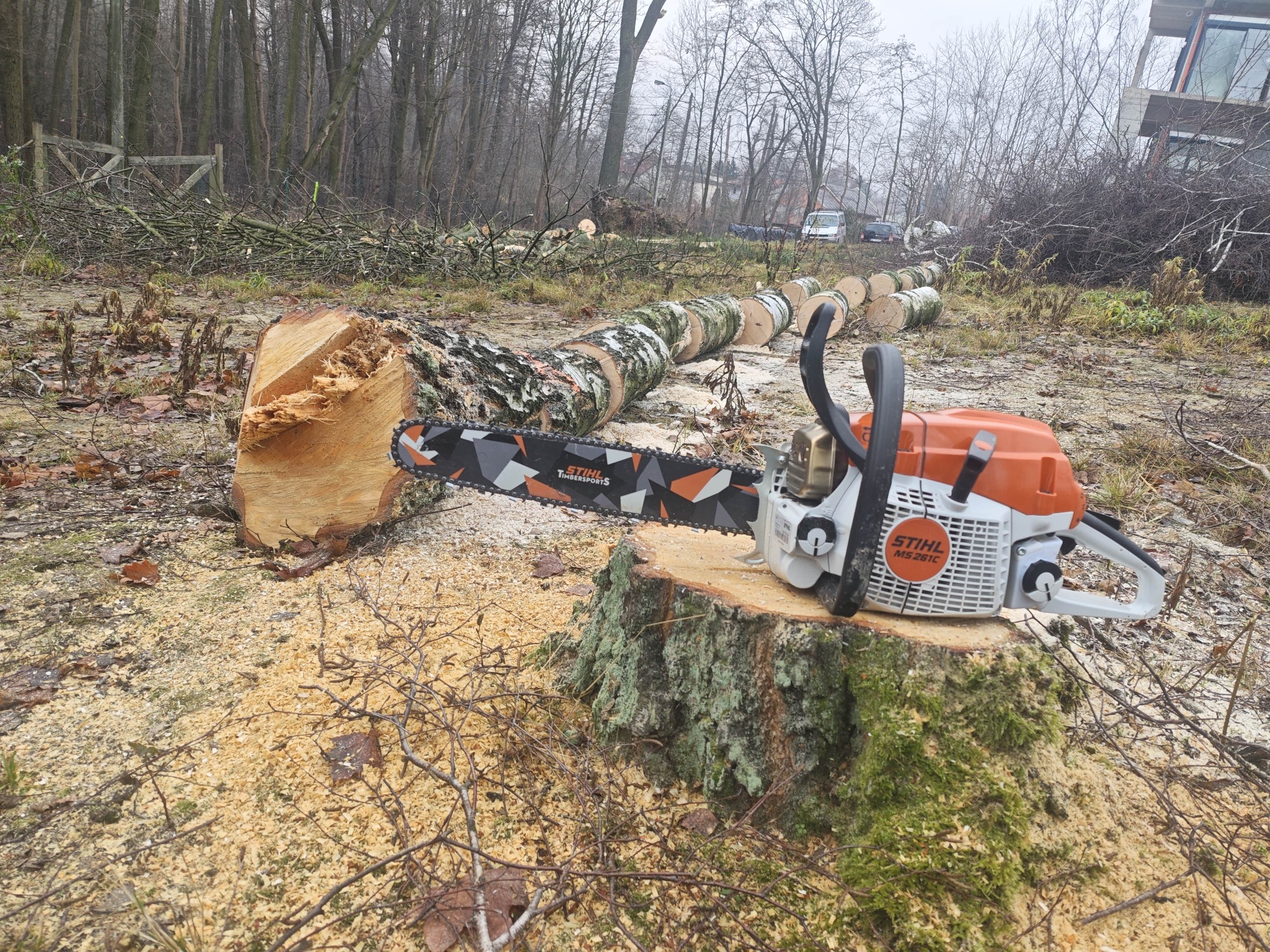 Pomarańczowo-biała piła spalinowa Stihl MS 261 C na pniu, w tle ścięte drzewo i gałęzie. Ślady po wycince drzewa w ogrodzie. Pochmurny dzień.