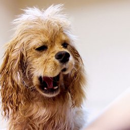 Tworzenie stron internetowych Warszawa 4