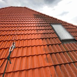 SGF GROUP SP&Oacute;ŁKA Z OGRANICZONĄ ODPOWIEDZIALNOŚCIĄ - Mycie dach&oacute;w Bielsko-Biała