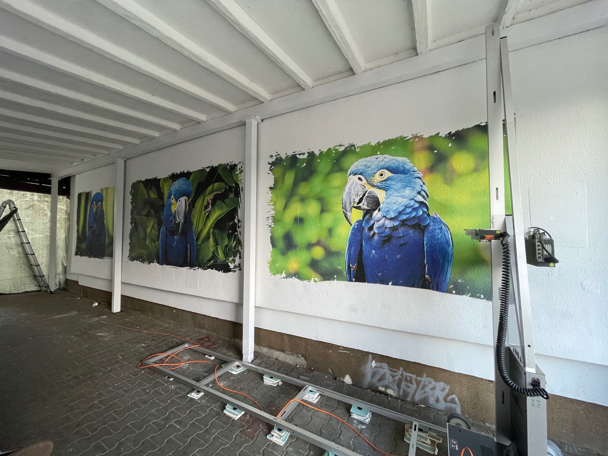 Montaż wielkoformatowych grafik z motywem papug na ścianie zewnętrznej budynku. Widoczny sprzęt montażowy i fragmenty graffiti na cokole.