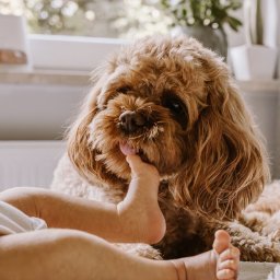 Fotograf na chrzest Warszawa 3