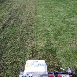 Bartosz Wściseł Pielęgnacja Zieleni - Wertykulacja trawników