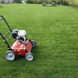 Bartosz Wściseł Pielęgnacja Zieleni - Prace działkowe Police