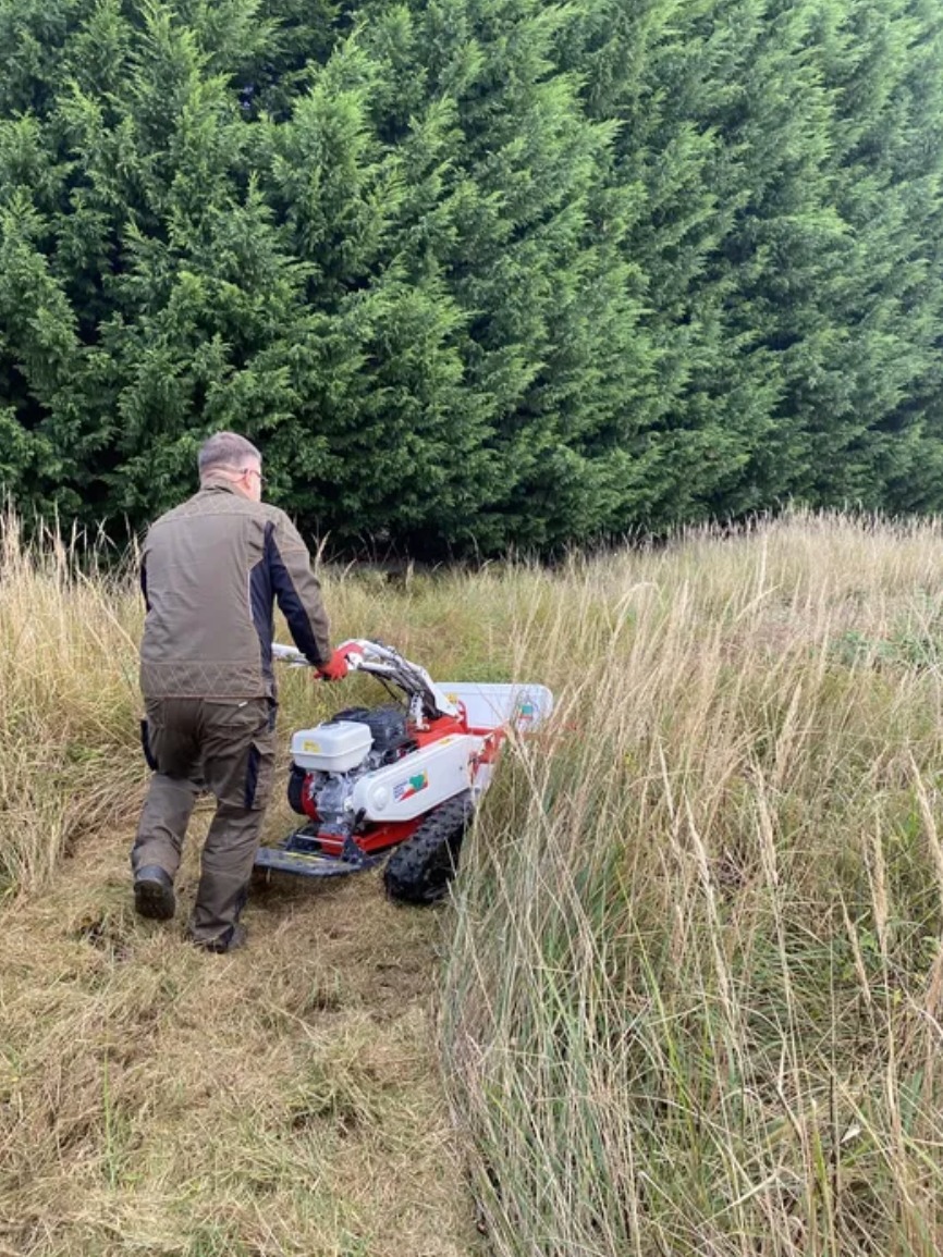 Karczowanie wysokich traw