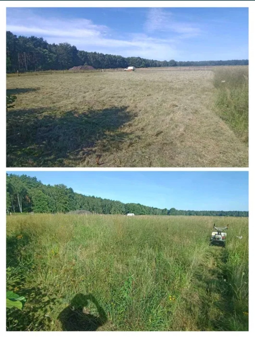 Karczowanie działek inwestycyjnych, przygotowanie pod wejście geodety