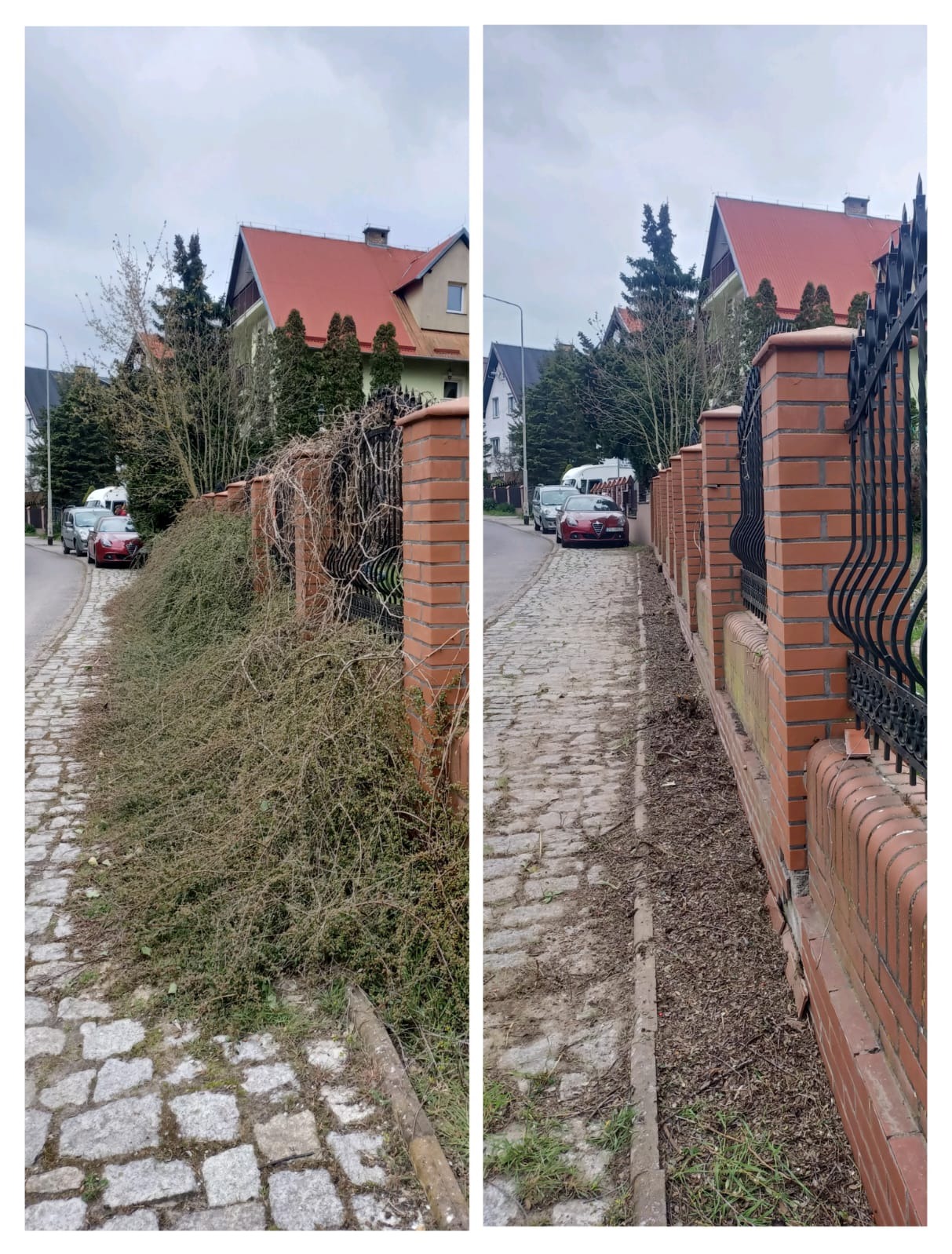 Czyszczenie/usuwanie roślinności