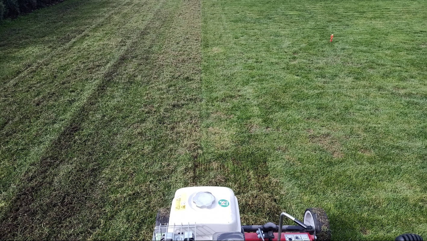 Wertykulacja trawników