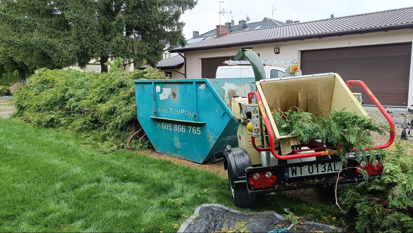 Przygotowanie do rębakowania ścinek po skróceniu żywopłotu z tui