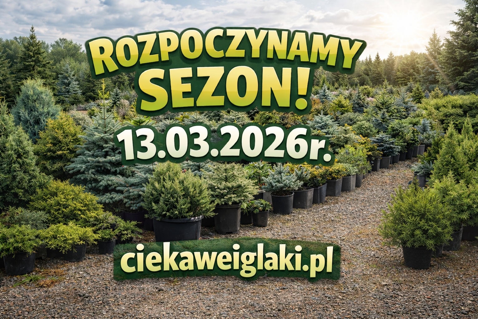 Startujemy jeśli chcesz możemy 3XD Doradzić, Dostarczyć, Dosadzić