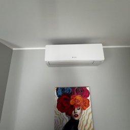 NexKlima Sebastian Niemczyk - Biały klimatyzator Fuji Electric na szarej ścianie nad obrazem kobiety z kwiatami. Widok z dołu, oświetlenie dzienne.