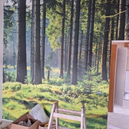 Nowy horyzont - Ściana z fototapetą leśną, drabina i kartony na podłodze. Realizacja z bliska, z widocznymi detalami fototapety i elementami przygotowania do prac wykończeniowych.