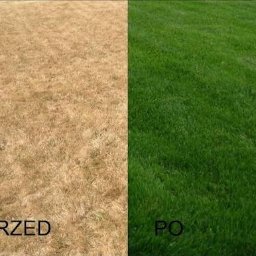 Pielęgnacja ogrodów Kraków 1