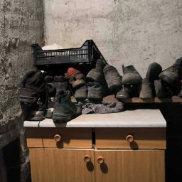 Wycinka drzew Żory 3