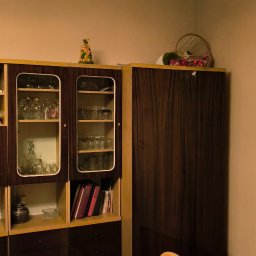 Wycinka drzew Żory 4