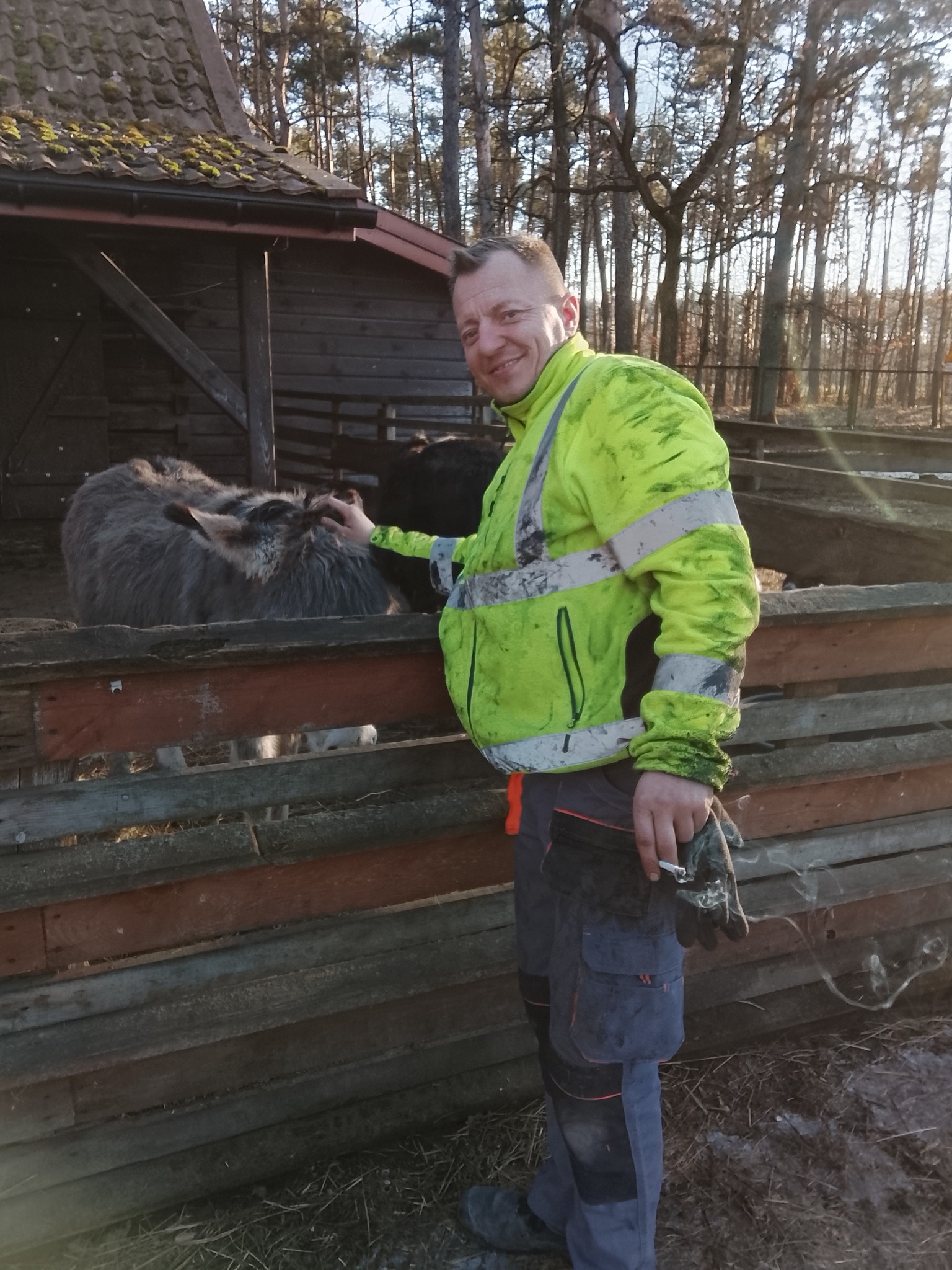Uśmiechnięty mężczyzna w odblaskowej kurtce głaszcze osła za drewnianym ogrodzeniem. W tle budynek gospodarczy i drzewa.