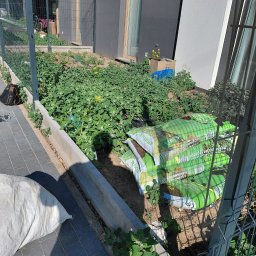 Aranżacja ogrodów - Przygotowanie podłoża: Stos worków z ziemią ogrodową leży obok grządki z zielonymi roślinami, gotowe do użycia w ogrodzie przy nowoczesnym budynku.