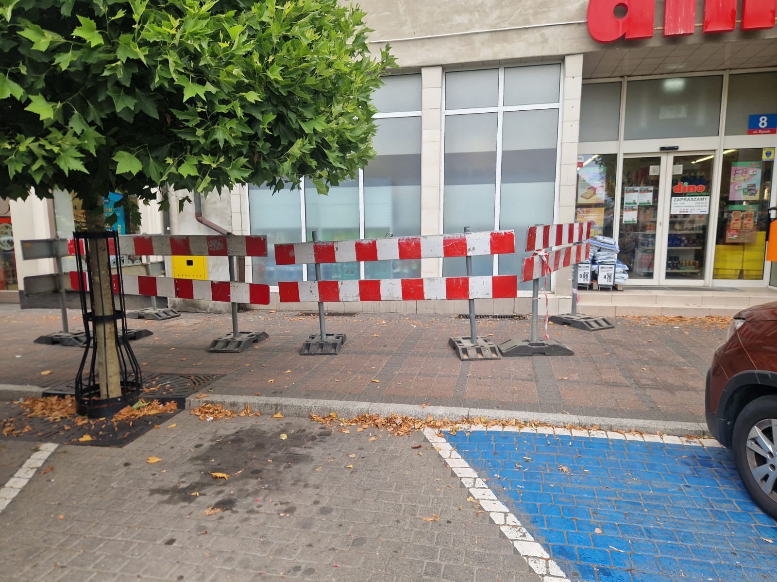 Zabezpieczenie wykopu na chodniku przed sklepem Dino, barierki z czerwono-białymi pasami, drzewo w metalowej osłonie, jesienne liście na kostce brukowej.
