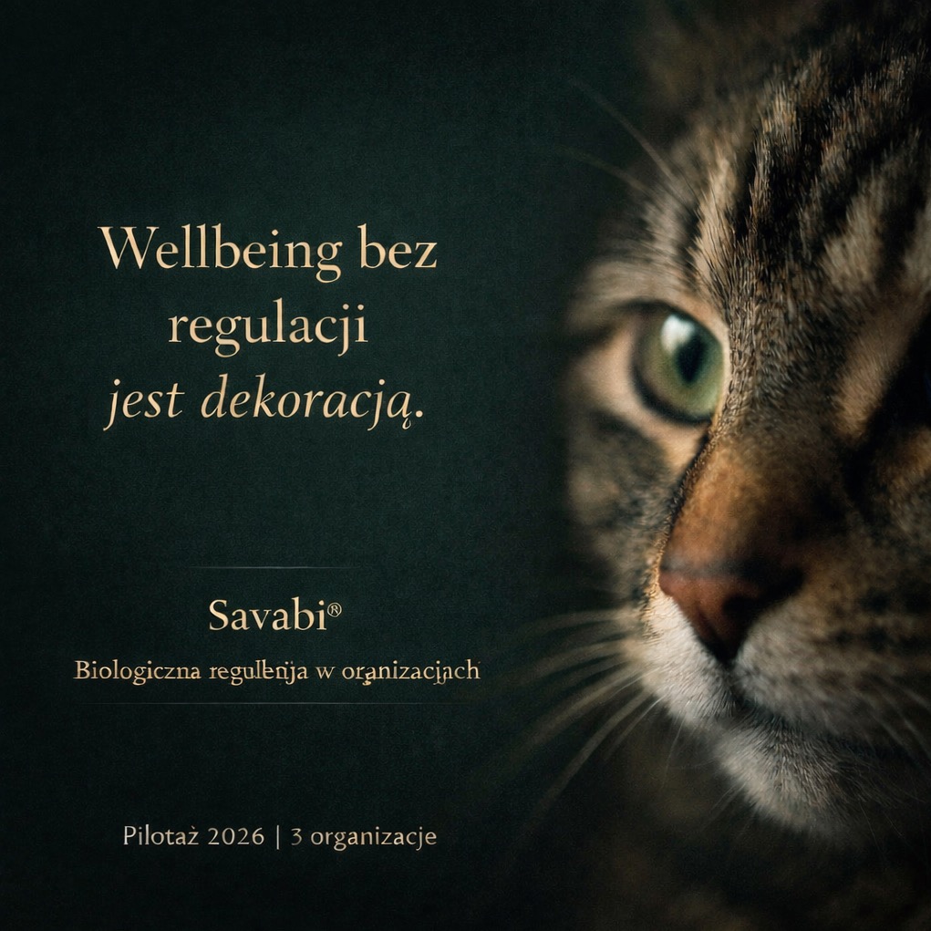 Grafika z hasłem 'Wellbeing bez regulacji jest dekoracją', logo Savabi® i zbliżeniem na oko kota, symbolizująca biologiczną regulację w organizacjach.