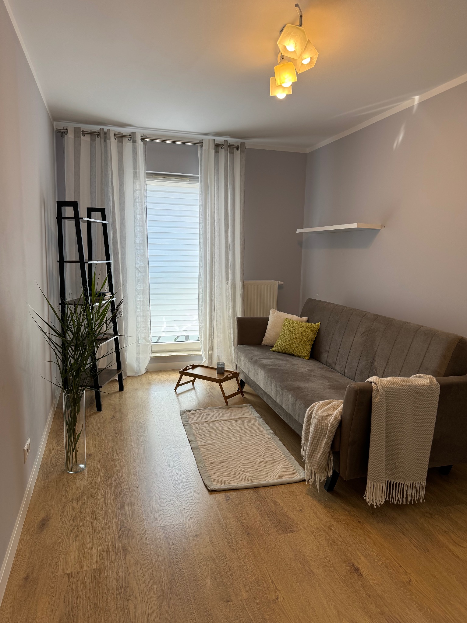 Jasne wnętrze pokoju z szarą sofą, drewnianą podłogą i oknem z białymi zasłonami. Minimalistyczny wystrój z rośliną i drewnianym stolikiem.